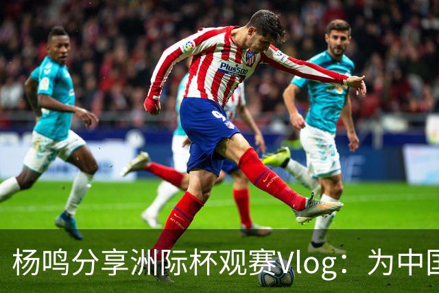 杨鸣分享洲际杯观赛Vlog：为中国篮球健康发展注入新动力